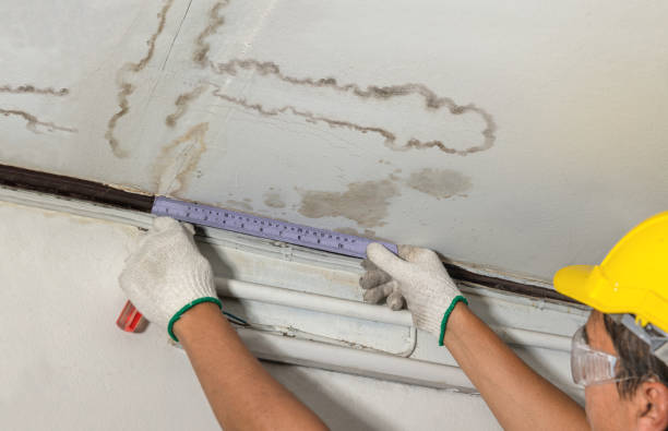 Reliable Water Damage Repair contractor in Chicopee, MA by Aqua Guard Water Damage